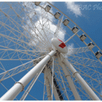 Brisbane Wheel