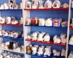 51-1 plaster paris activity