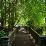 mount cootha botanic