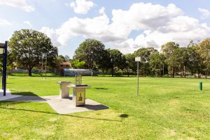 Ewing park rugby goals