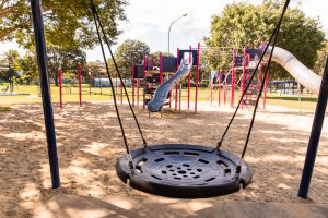 Ewing park nest swing
