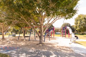 Ewing park shade trees