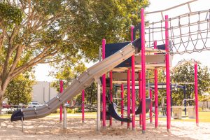 Ewing park tree shade