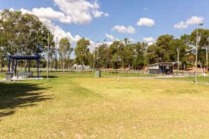 Ewing park open grass