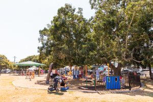Bulimba Memorial Park playground tree shade
