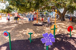Bulimba Memorial Park playground flowers