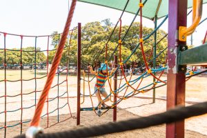 Bulimba Memorial Park rope climbing