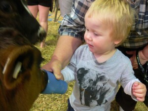 brisbane-kids-ekka