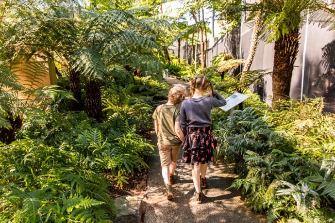 80 Amazing Things to do in Brisbane in Spring with Kids - Brisbane Kids