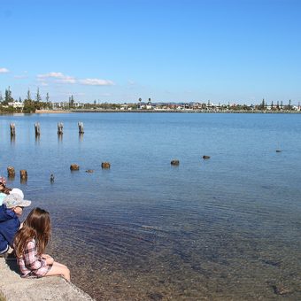 Cleveland Point Recreation Reserve - Brisbane Kids