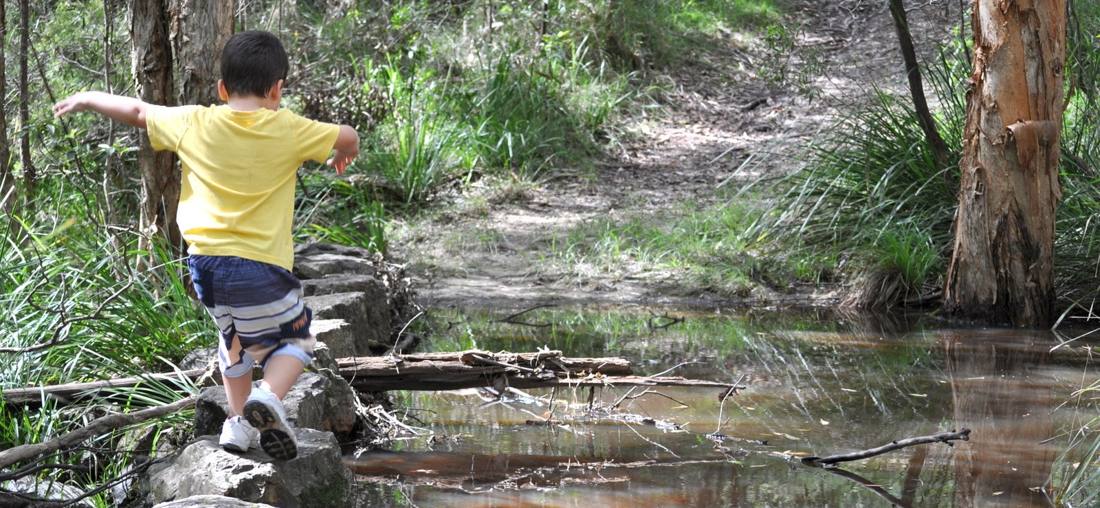 venman-bushland-national-park-brisbane-kids