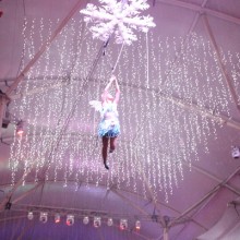 Movie World Christmas fairy