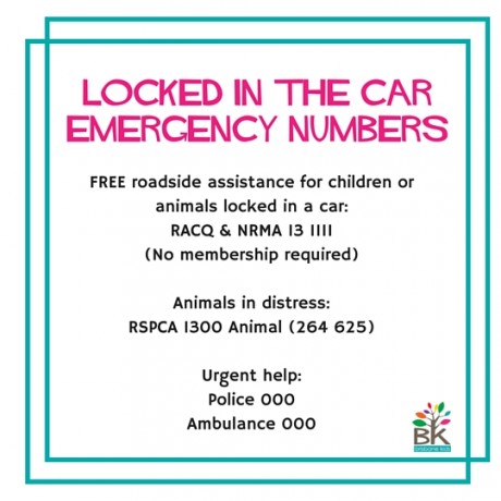 What to Do if a Child or Pet Is Locked in a Car - Brisbane Kids