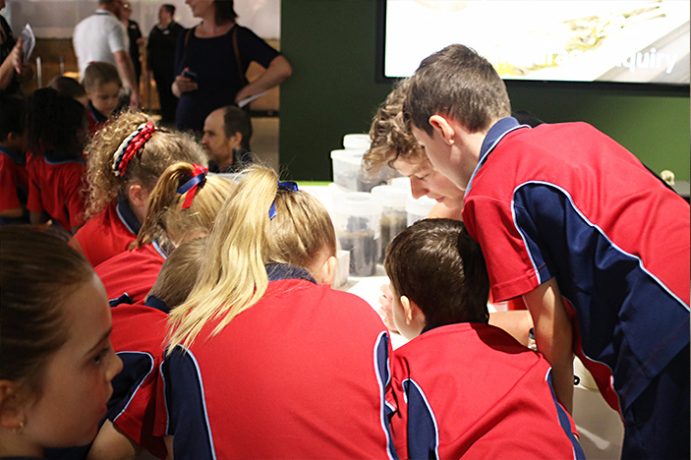 The Queensland Museum Discovery Centre - Brisbane Kids