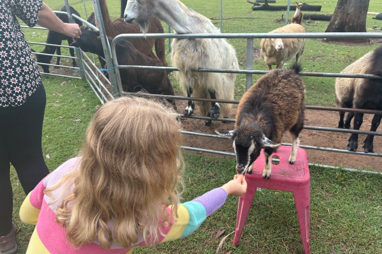 EWE Nique Hobby Farm hand feeding goat.