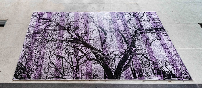apt9 artwork purple jacaranda