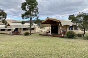 Safari style tents at Spicers Canopy