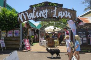 Entrance to an alleyway with the title Maleny Lane above it