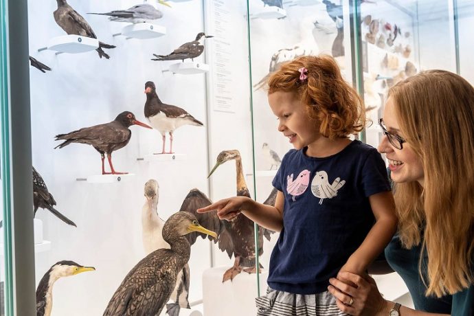 50 Brisbane Activities for Kids - Brisbane Kids