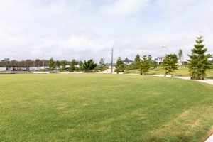 Everleigh Park field