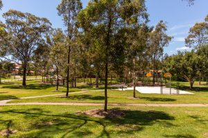 o'gorman street park lots of paths