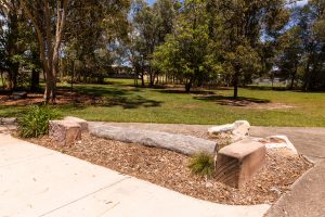 o'gorman street park balancing log