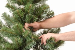 When to Take Down Your Christmas Tree - Brisbane Kids