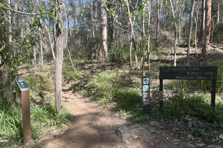 Walkabout Creek Enoggera Reservoir walking trails.