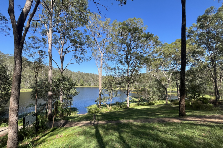 Walkabout Creek Enoggera Reservoir wide view.