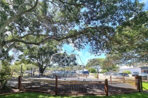 Fenced Lions Park with shade provided from large tree.