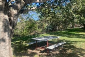 A picnic table under the shade of an established tree at Denmark Hill Conservation Reserve.