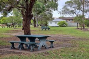 Picnic table and bench seats under trees at Ducie Street Park.
