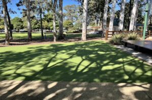 Artificial grass at John Scott Park.