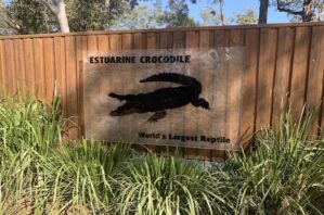 Lone Pine Koala Sanctuary Review - Brisbane Kids