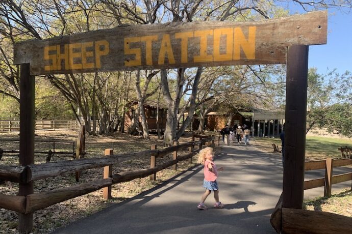 Lone Pine Koala Sanctuary Review - Brisbane Kids
