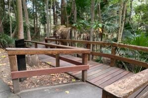 Boardwalk at Walkabout Creek.