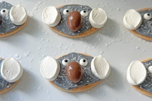 Milk Arrowroot, Biscuit, kids, Australia Day, Food, cooking, Koala