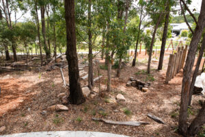 Billubera park Yarrabilba natural elements and established trees