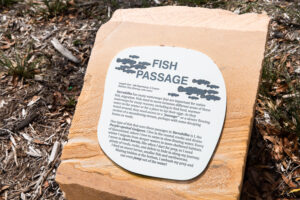 Billubera park Yarrabilba animal facts are dotted along the paths