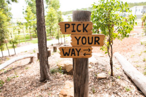 Billubera park Yarrabilba ninja course pick your way sign