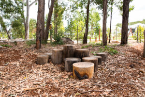 Billubera park Yarrabilba hidden art on the ninja course