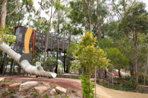 Billubera park Yarrabilba main structure in the treetops