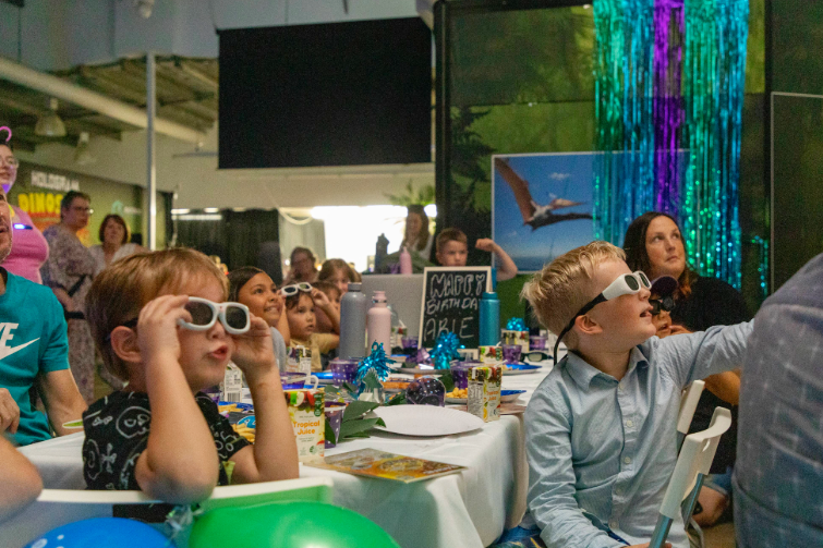 Hologram Zoo Cannon Hill birthday party 3D glasses.