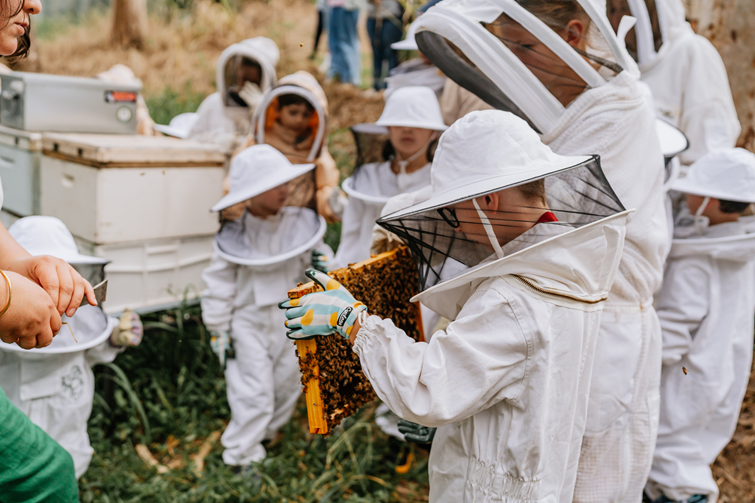 group of students looking at bees