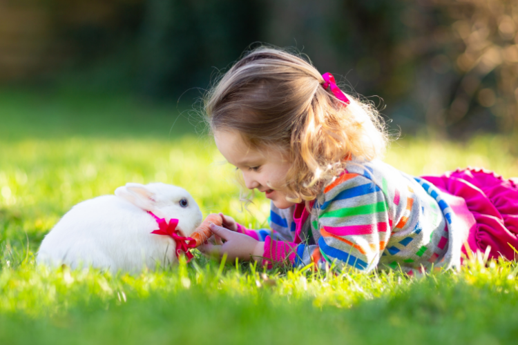 Where to see the Easter Bunny in Brisbane (2026)