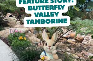 butterfly valley tamborine
