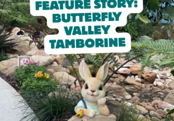 butterfly valley tamborine