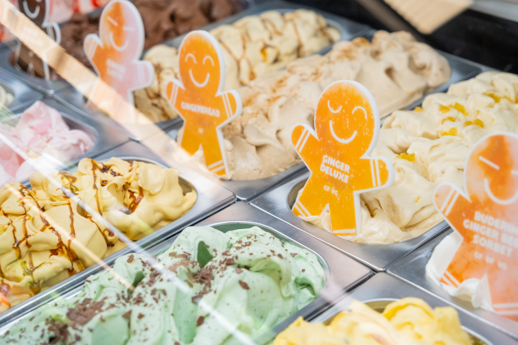 The Ginger Factory 35 flavours of gelato closeup,