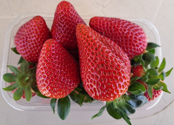Eastern Colour strawberries.