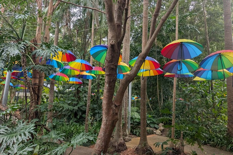 The Ginger Factory Rainbrella Project 2026.